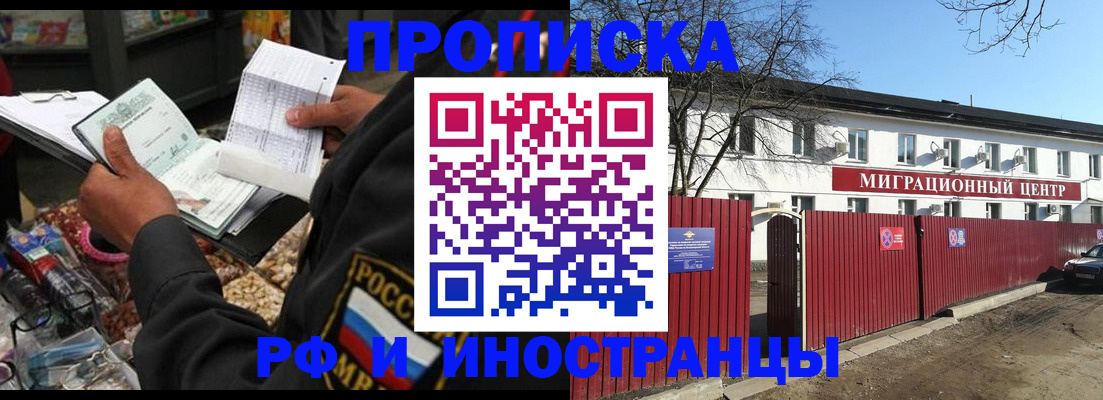 прописка поиск в Шадринске